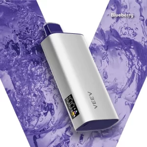 VEEV Now 18mL Disposable Vape: Blueberry